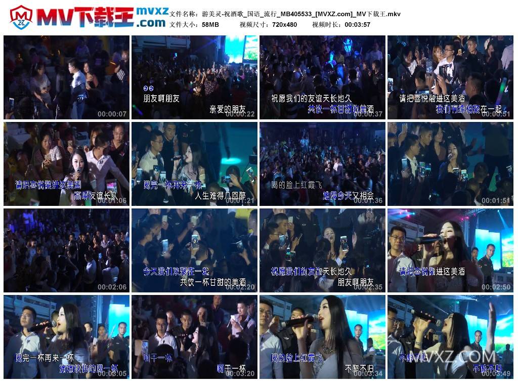 游美灵-祝酒歌_国语_流行_MB405533